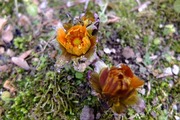 DSCF9537_R