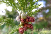 DSCF9069_R
