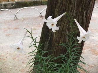 DSCF4408_R