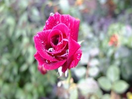 DSCF8958_R