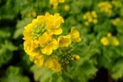 DSCF9092_R