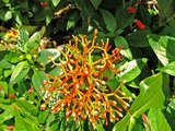 DSCF7860_R