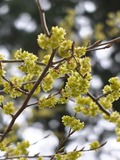 DSCF1182_R