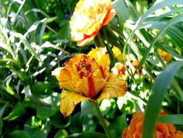 DSCF1946_R