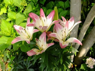DSCF8013_R