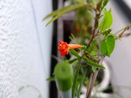DSCF9306_R