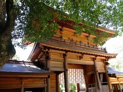 DSCF9554_R