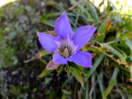 DSCF5251_R