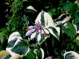 DSCF8949_R