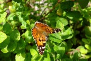 DSCF6797_R