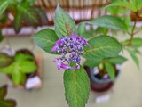 DSCF7805_R