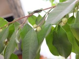 DSCF1751_R