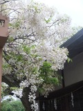 DSCF1595_R
