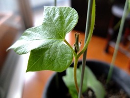 DSCF6083_R