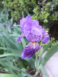 DSCF1805_R