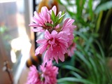 DSCF6858_R
