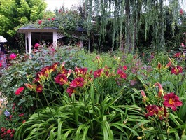DSCF3579_R