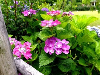 DSCF8604_R