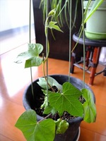 DSCF6082_R