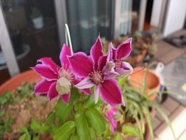 DSCF1993_R