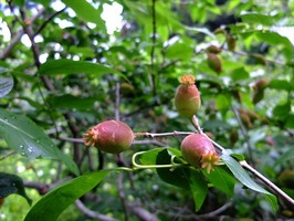 DSCF2929_R