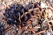 DSCF9527_R
