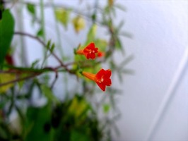 DSCF9302_R