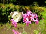 DSCF8312_R