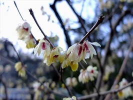 DSCF0542_R