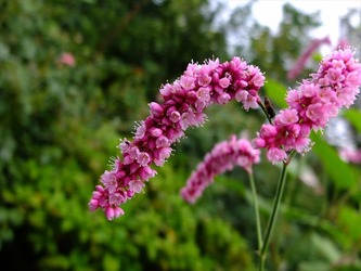 DSCF4541_R