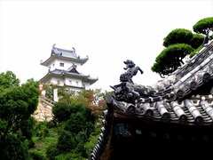 DSCF9584_R