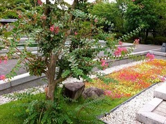 DSCF9505_R
