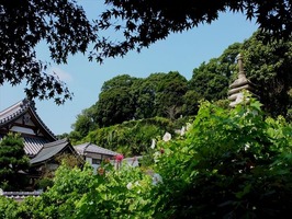 DSCF9167_R