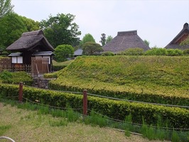 DSCF2374_R