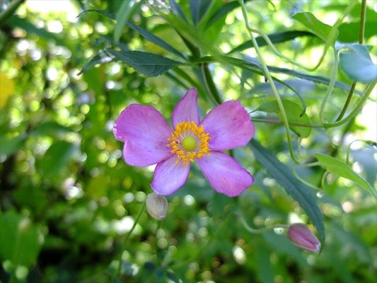 DSCF5082_R