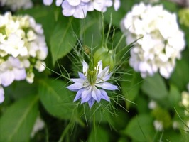 DSCF8058_R