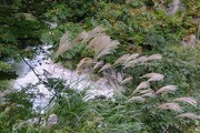 DSCF6354_R