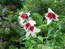 DSCF3613_R