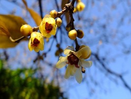 DSCF0529_R