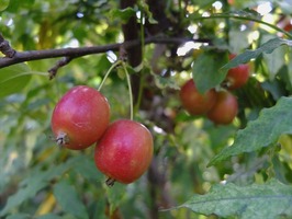 DSCF5707_R