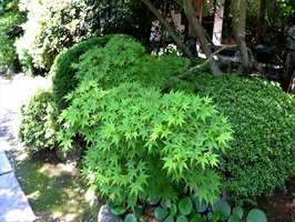 DSCF8831_R