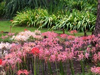 DSCF4933_R
