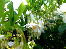 DSCF2492_R
