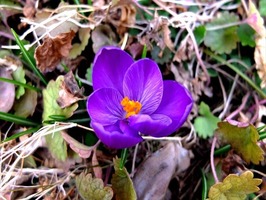 DSCF1174_R