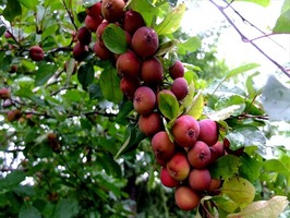 DSCF8900_R