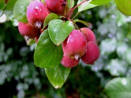 DSCF8933_R