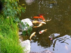 DSCF9507_R