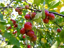 DSCF5434_R