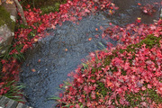 DSCF7981_R