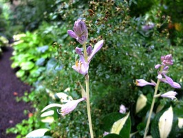DSCF3626_R